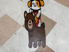 ウサコのへやんぽ（ケージから出て室内でお散歩すること）をすませ、ゆっくりと自宅を出発。

足柄SAの