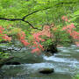 北東北 青森 【別冊２】奥入瀬渓流散策・星野リゾート 奥入瀬渓流ホテル・十和田湖　編