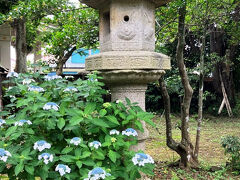 甚大寺、堀田公墓所の紫陽花　堀田公三代の墓所。
佐倉市は江戸時代を通し、「佐倉藩」として、代々、老中を勤める名門の譜代大名が統治した。その中で、最も多くの藩主を輩出し、期間も長かったのが、「堀田家」である。
堀田家の治世は1642年に堀田正盛が入封したのが始まりで、その世子が「義民宗吾伝説」で悪名名高い正信である。正信の時にいったん改易したが、1746年、傍系の堀田正亮が出羽から入封すると、その後幕末まで6代にわたって佐倉藩主を勤めた。この堀田正亮が、木内家を再興し、佐倉宗吾百回忌を挙行し、和解したのである。正亮の世子、正順は藩校を創設しそれが長嶋茂雄を輩出した、現在の佐倉高校のルーツである。
正順は、最近、鬼平犯科帳（さいとうたかをの劇画版）にも出演したが、堀田氏代々の風貌を正確に描写していたのに私は驚いた。
