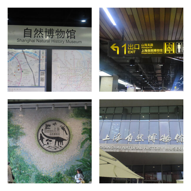 まずは自然博物館から。英語表記はHistoryが入って「自然史博物館」になっていました。地下鉄の駅名も「Natural History Museum」。まぁ、欧米系の外国人観光客にとっては、Historyを入れないとピンとこないでしょう。中国最大級の自然史博物館です。