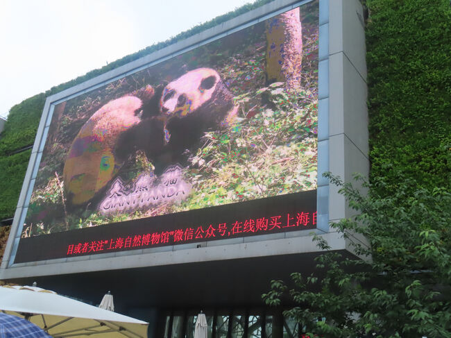 広告塔はやはりパンダ。