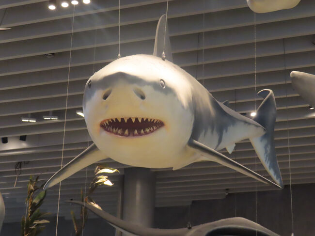 ジョーズ！