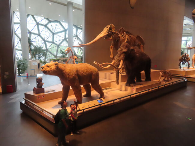 陸上で生活していた巨大な古生物たち。ちょうどいい具合に見学者がいたのでその大きさがよく判りました。