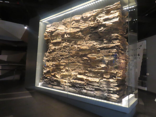 自然史博物館ではおなじみの地層展示。