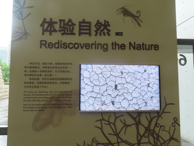 自然体験のコーナー。「生きている生命に触れ、自然の変化を観察することができます。よく見てください。今日はどんな発見があるでしょうか？」と書いてありました。