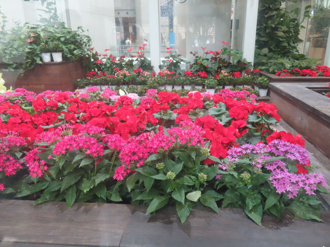 言われてみれば、花もまた生物。