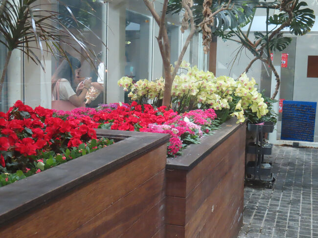 でもやっぱり花はきれいです。