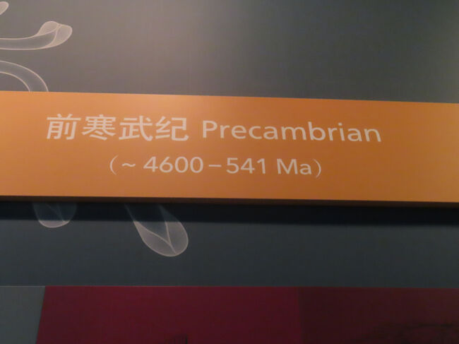 「カンブリア」の漢字表記が寒武とは知りませんでした。まぁ、そのまま音読みすればそうなので、納得。