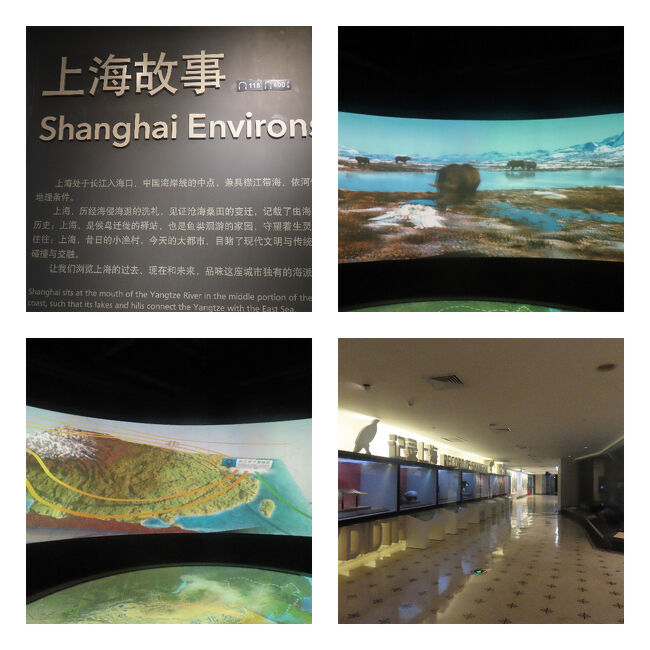 長江という大河の河口にある上海は、海と川によって長い年月をかけて大きく変化してきたそうで、その歴史を示す映像展示も充実していました。