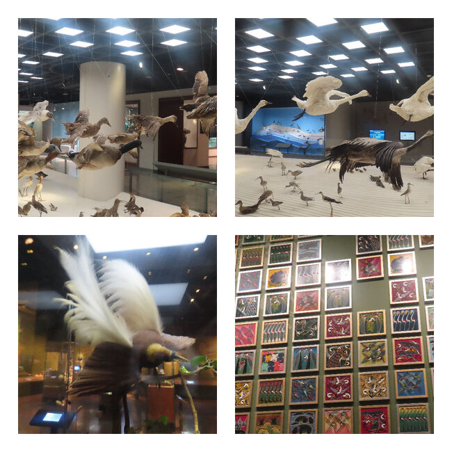 とても多くの種類が来るんですね。