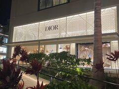 お腹いっぱいになり、少し夜風にあたりながらお散歩します。Diorが見えますね。