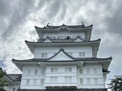 三島まで親戚の車で、三島から小田原までは新幹線であっという間
小田原城に来ました