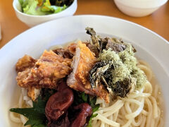 昼食は公園内の「パークカフェ」で頂きました。
生暖かいうどんの上に乗った熱々のから揚げが美味しかったです。
