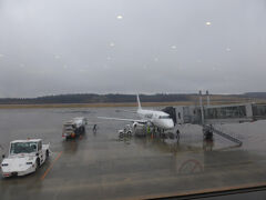 伊丹空港12時発JAL→秋田空港13時15分着