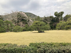 お庭もきれいにお手入れされていて、心が落ち着きます。