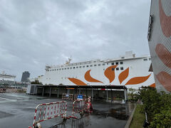 雨のさんふらわあさつま
今回の旅行は天気予報を見るとほぼ雨…だったのでテンション低めの出発です
