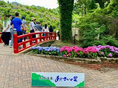 形原温泉あじさい祭り