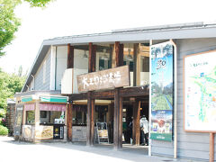 大王わさび農場へ

無料で入れます。
大きな駐車場がありました。GWなどのピーク時は渋滞ができるほどらしいので
平日がおすすめです。