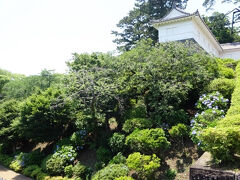 小田原城 常盤木門（SAMURAI館）