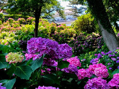 小田原城天守閣