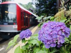 同じく６月

⌘ 箱根 de カフェ梯子 ⌘ おまけのおまけ♪♪（撮り鉄モドキ編）の時に行ったカフェをご紹介します