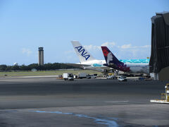 予約しておいたタクシーは遅れずに迎えに来てくれてダニエル・K・イノウエ国際空港にかなり早く到着した。荷物検査は混んでいて時間の余裕をもって出てきて焦らずに済んだ。
ANAとハワイアン航空の飛行機が見える。