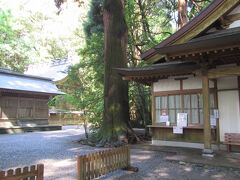 高千穂神社
境内