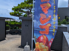 しらばり農園の完熟マンゴーを食べにいきました