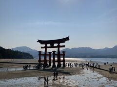 あ～逆光
行くなら午前中だな。
そして今回も干潮