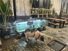 チェックインしてひとっ風呂浴びたら
知本の温泉街を散策。
看板娘発見。