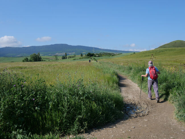 工事中で迂回路は道幅狭小
