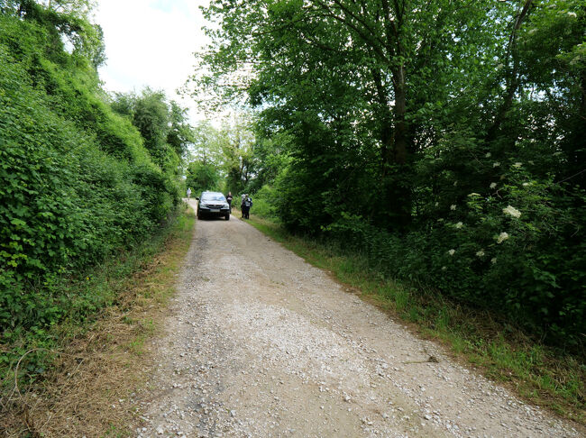ときどき自動車通ります