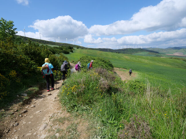 12時過ぎ<br />ぺルドン峠のふもと付近