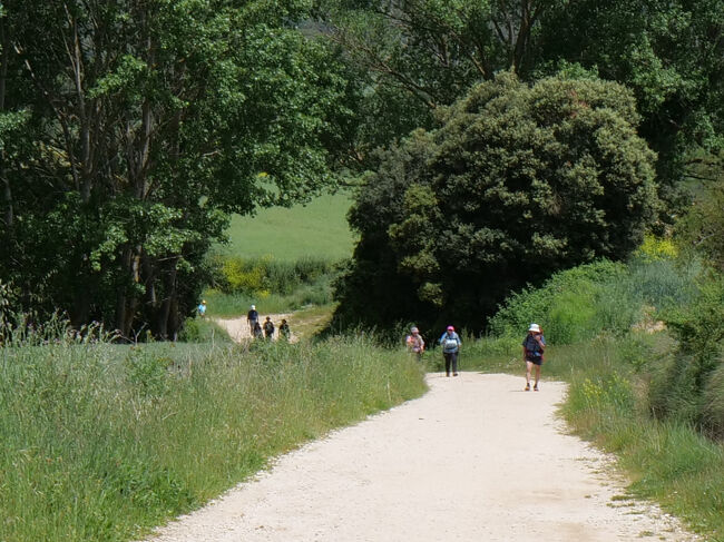道路は乾燥、強い日差し