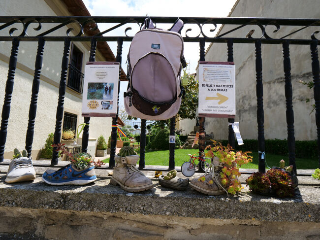 トレッキングシューズの鉢植え<br />（自宅でも挑戦しようと思います）