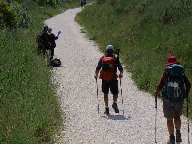 地図を確認する巡礼者