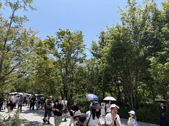 タイパビリオンから静けさの森。
ぜんぜん静けさは無い。