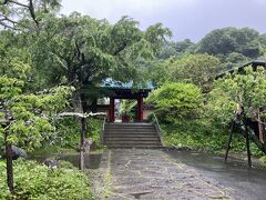 光則寺
うっそうとして、なんか緑が濃い