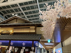 毎年、江戸小路は桜の装飾。