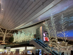 今日も今日とて、羽田空港第３ターミナル。