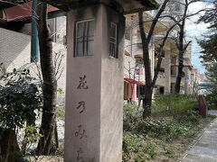 花のみちに来るのも久しぶり・・。

花の道沿いにはマンションが建って、昔ながらの店も今はマンションの１階や２階にテナントとして入っています。