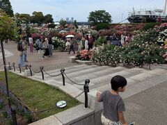 山下公園へ。バラがきれいでした。