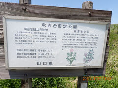 秋吉台国定公園の看板はしっかり撮れました。