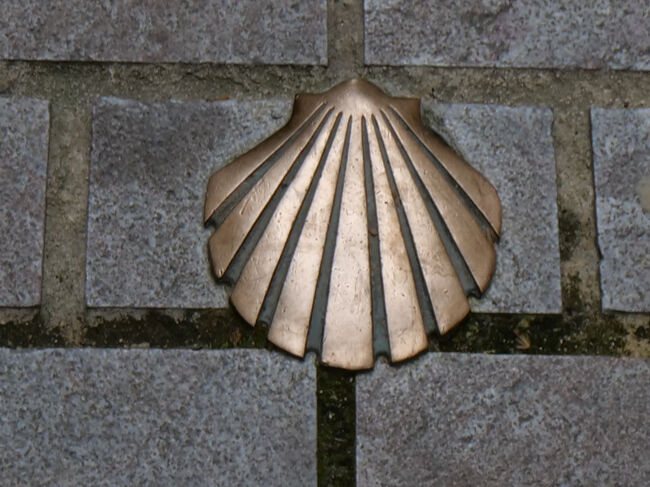 ホタテ貝を踏んで