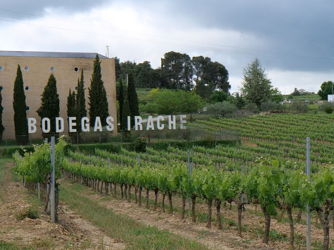 ワインの泉が楽しみ