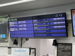 飛行機での移動