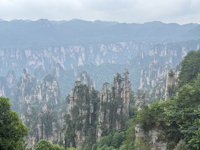 中国の旅 張家界 武陵源森林公園編 前半』張家界(中国)の旅行記