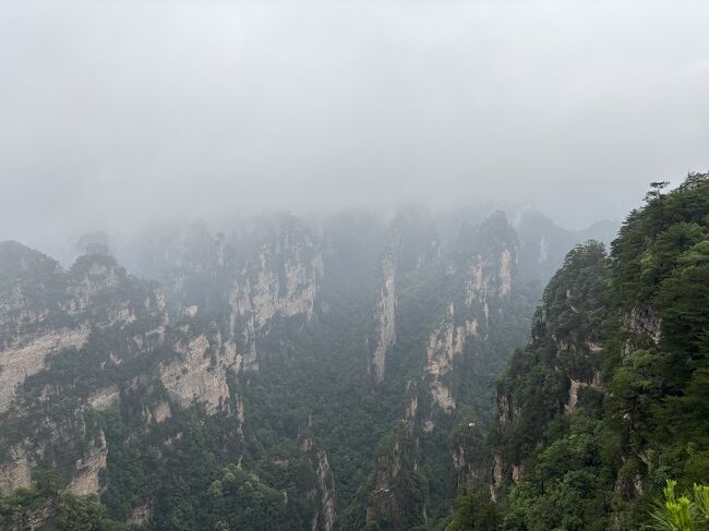 中国の旅 張家界 武陵源森林公園編 前半』張家界(中国)の旅行記
