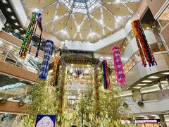 ７月３日（木）１７：３０

七夕が近いので、宝塚駅隣接のソリオ宝塚には笹の葉と吹き流しが☆彡

みなさん短冊にお願いごとを書かれてました。

途中の花のみちではセミも鳴き始めていて、ついこの間まで紫陽花が咲いていたのに、季節の移り変わりもあっという間です。