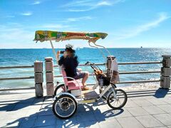 旗津島へ来たらこの電動4輪車がおすすめ。免許は要らず、最速時速20kmくらいで走る。遊歩道みたいなとこを走ればまあ安全。2時間400元。
デポジットとして身分証か悠遊カードかホテルの鍵を預ける。店員さんはどれが誰のか覚えてなかったから、パスポート等を預けるのはおすすめしない。私は悠遊カードに目印を付けて預けた。